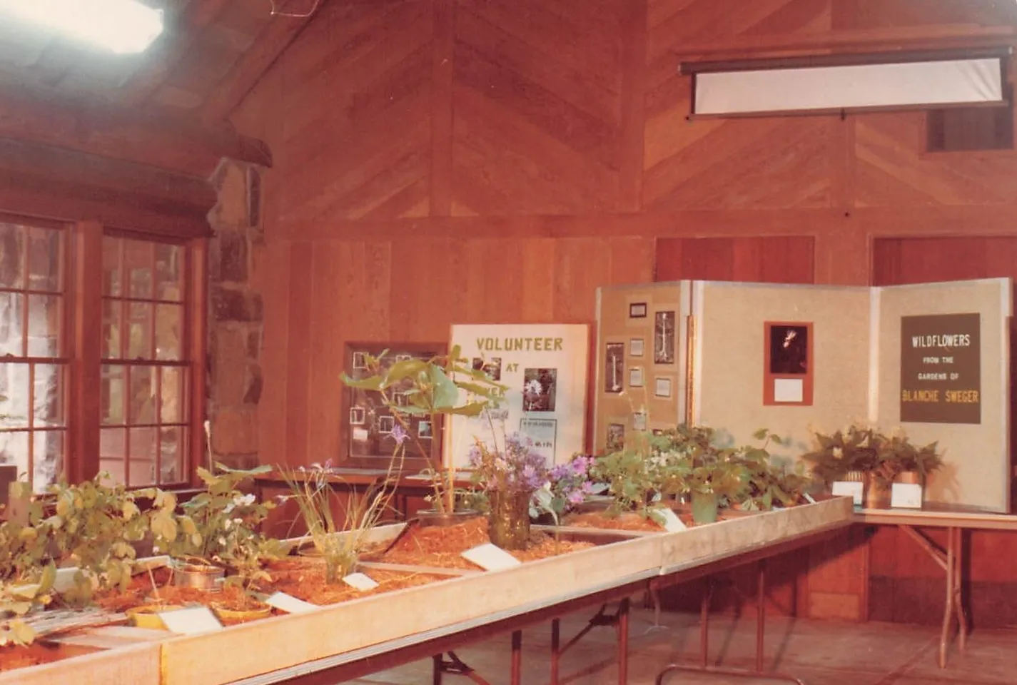 1987-1991 Flower Show