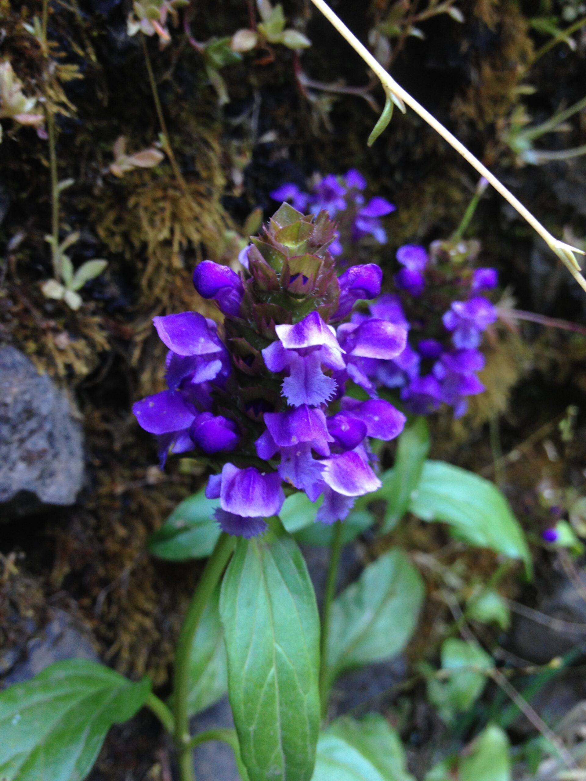 Self-heal