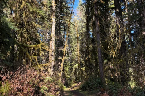 Perimeter/Roamers Meadow/Rackett Ridge Perimeter/Roamers Meadow/Rackett Ridge Trail