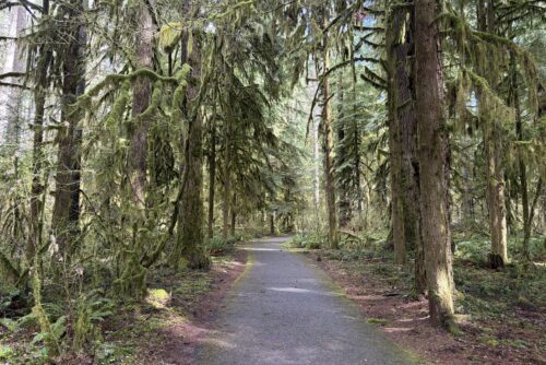 Bike Path Bike Path