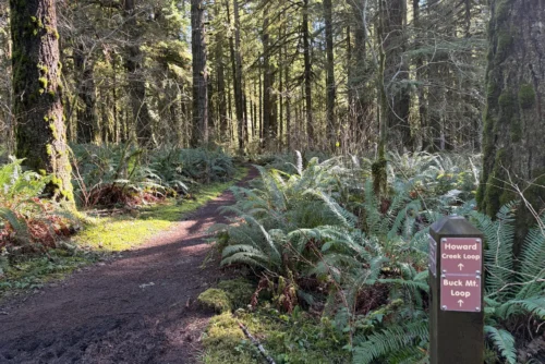 Buck Mountain to Perimiter Trail