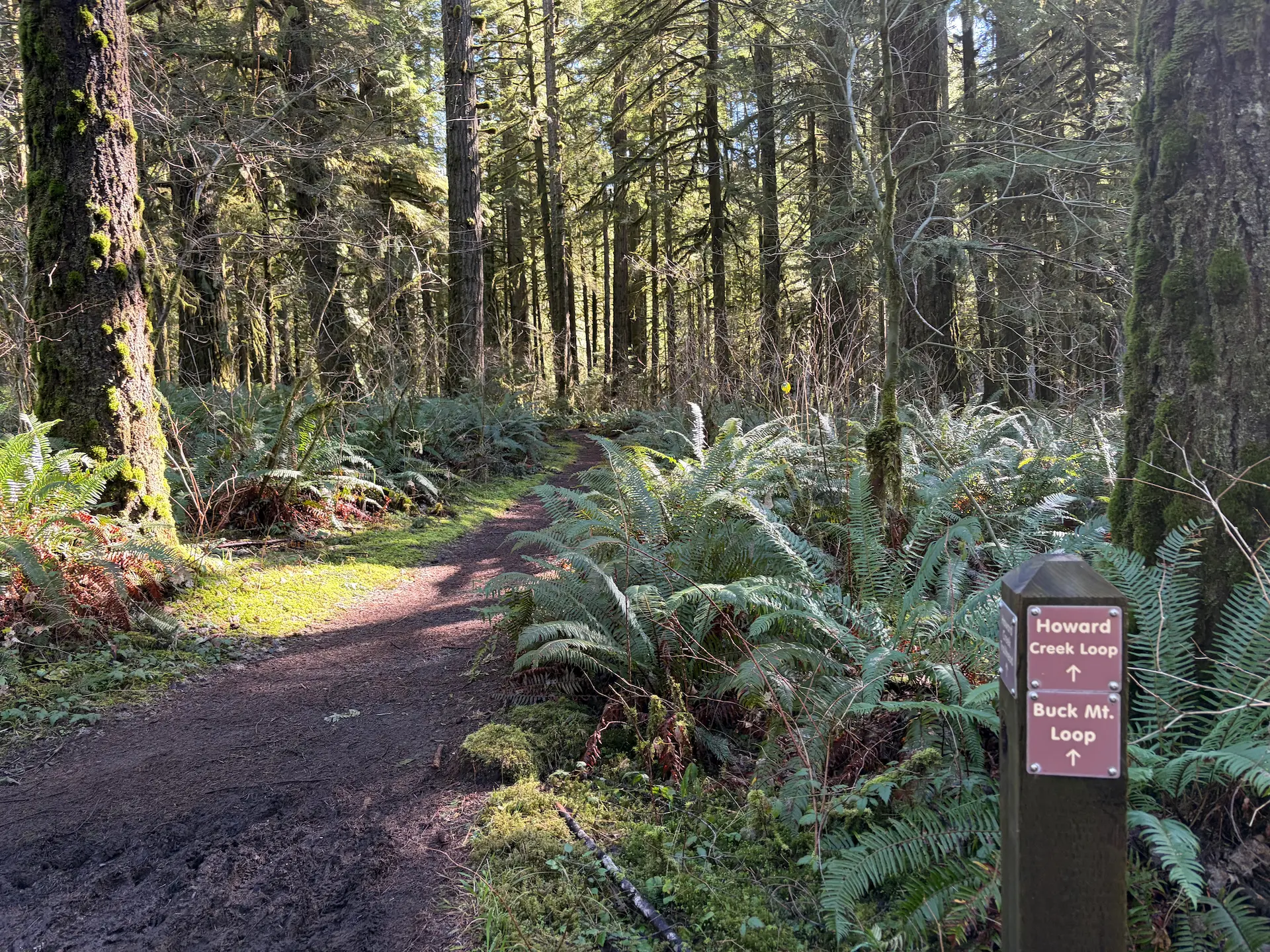 Two volunteers appear to be planting or restoring native vegetation on the grounds outside the South Falls Café at Silver Falls State Park
