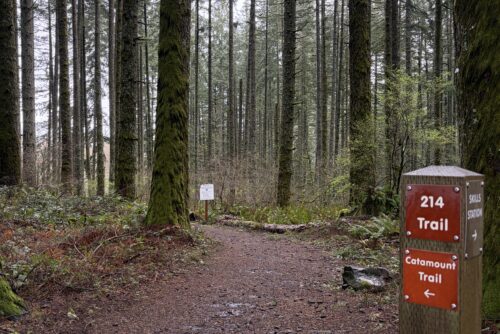 Catamount Trail