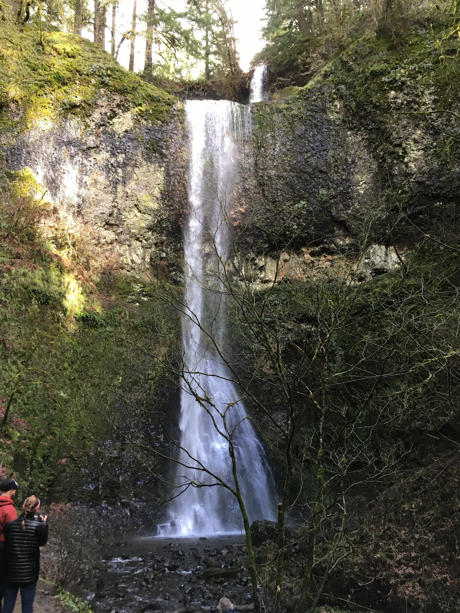 Double Falls Two volunteers appear to be planting or restoring native vegetation on the grounds outside the South Falls Café at Silver Falls State Park