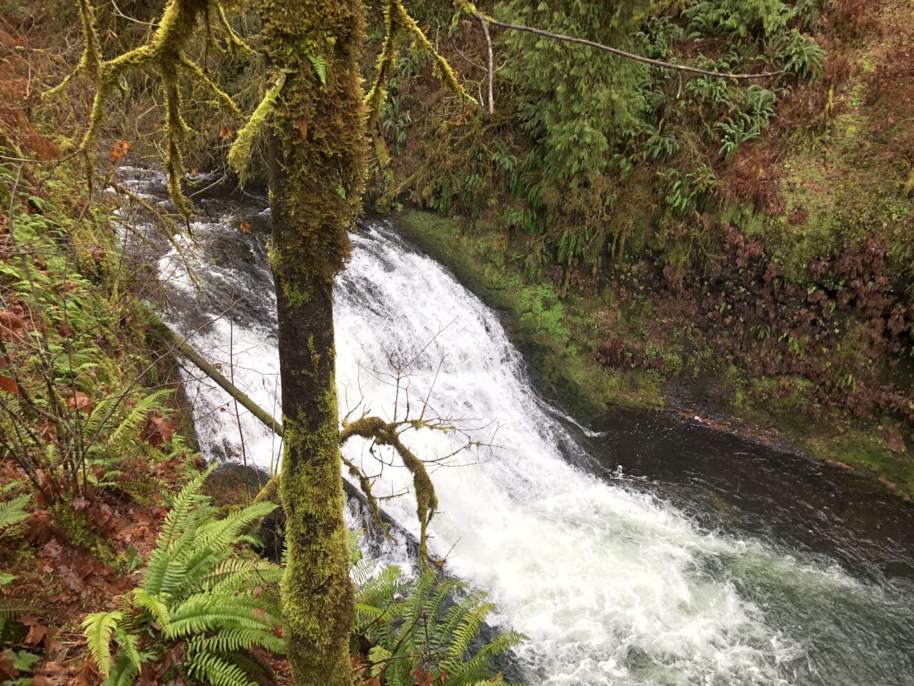 Drake Falls 5 Drake Falls