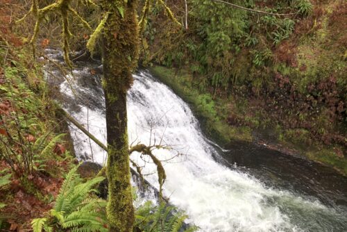 Drake Falls 5 Drake Falls