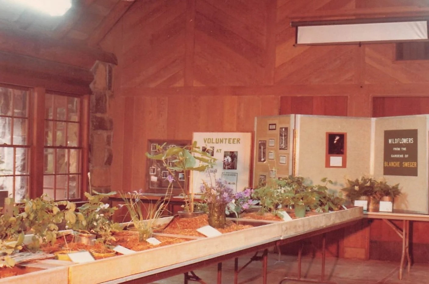 Flower show