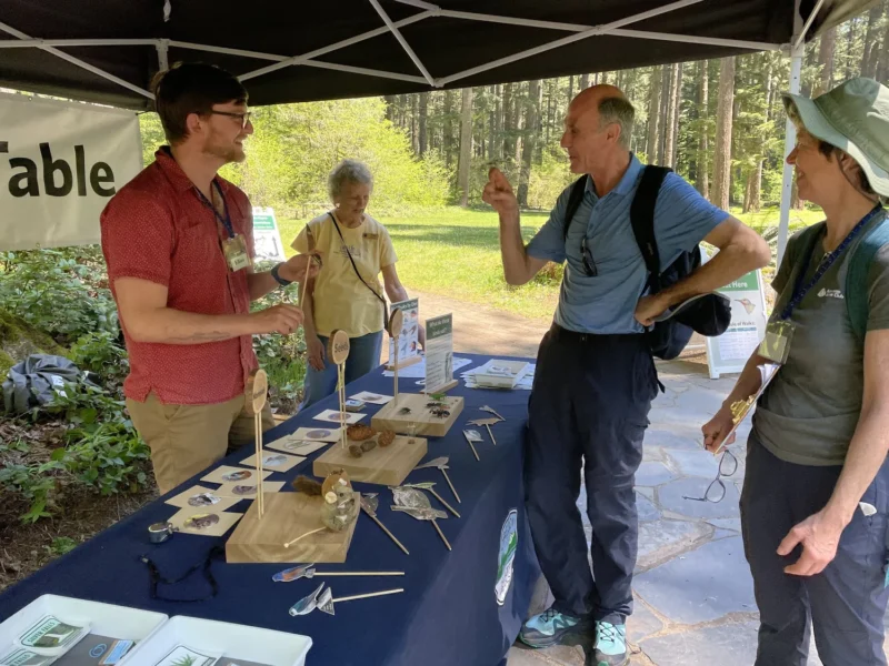 Visitors learning about forest ecology at Friends of Silver Falls discovery table event
