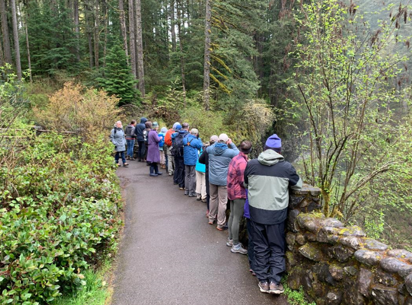 Guided Hikes