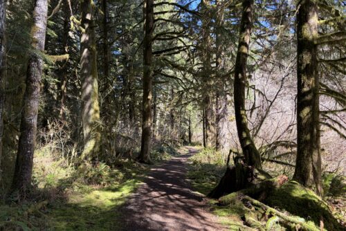 Howard Creek Loop Howard Creek Loop