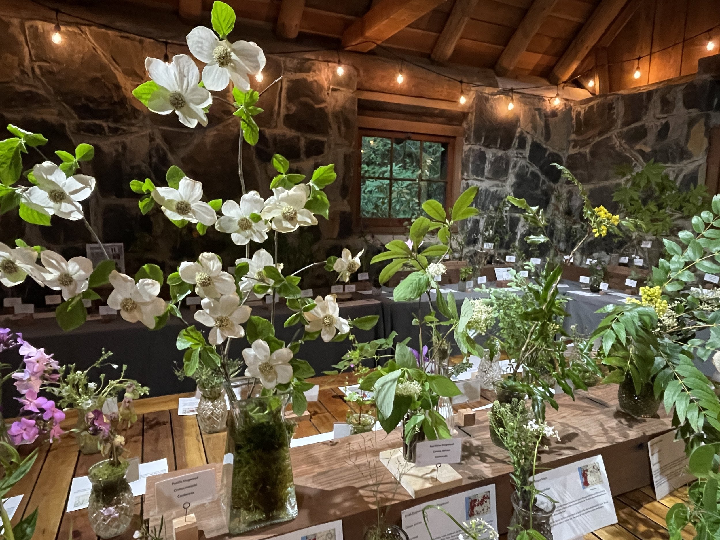 Wildflower Show