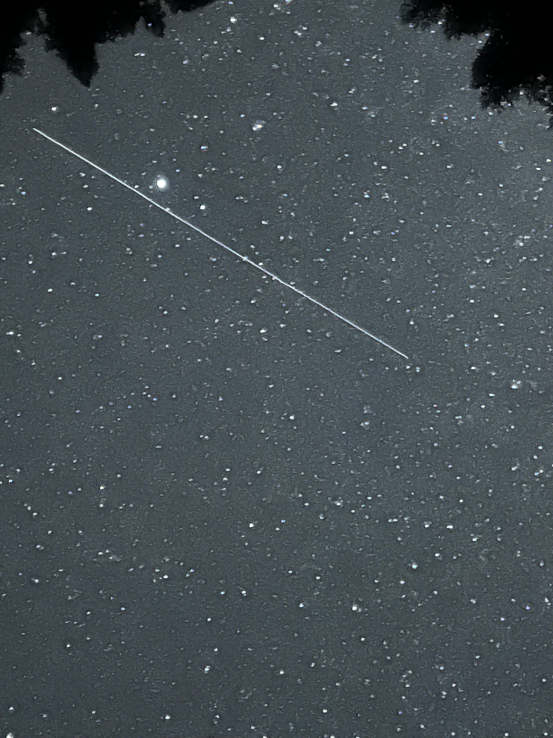 Starlink (Space X) made an appearance, amazing visitors but frustrating the astronomers who wanted the focus to remain on celestial bodies and not man-made objects!