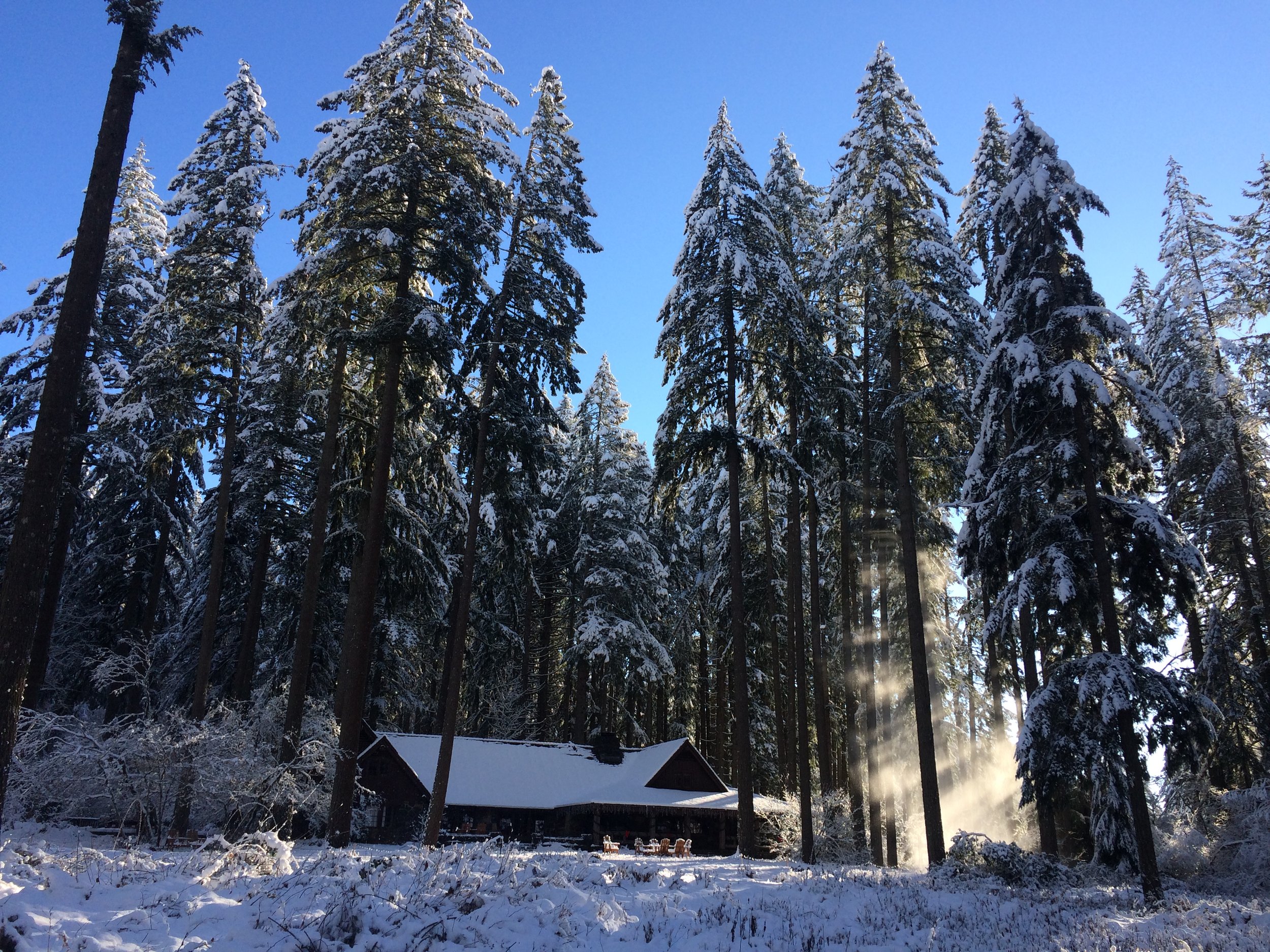 Winter South Falls Lodge
