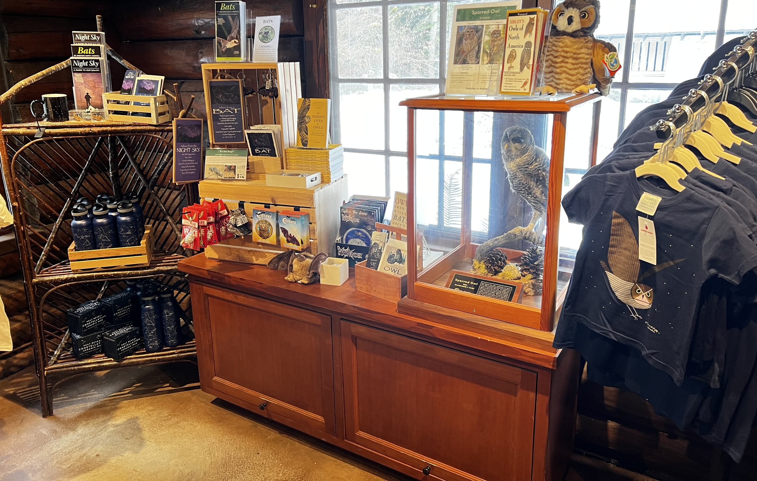 The Owl Display in the Nature Store