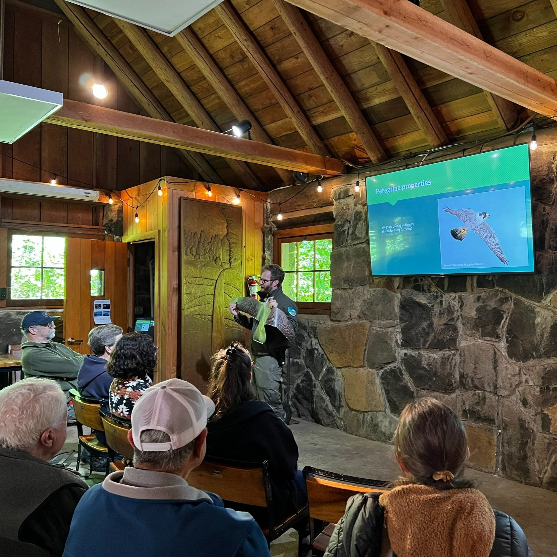 Foraging for Fools: July 18th 2:00pm at the South Falls Theater
Workshops for staff, volunteers, and members have been a great way to learn about the park’s ecology and connect with the Silver Falls team. Last month, Ranger Matt discussed peregrine falcons and the nest observed throughout the past spring. Join us for the next workshop: Foraging for Fools!
