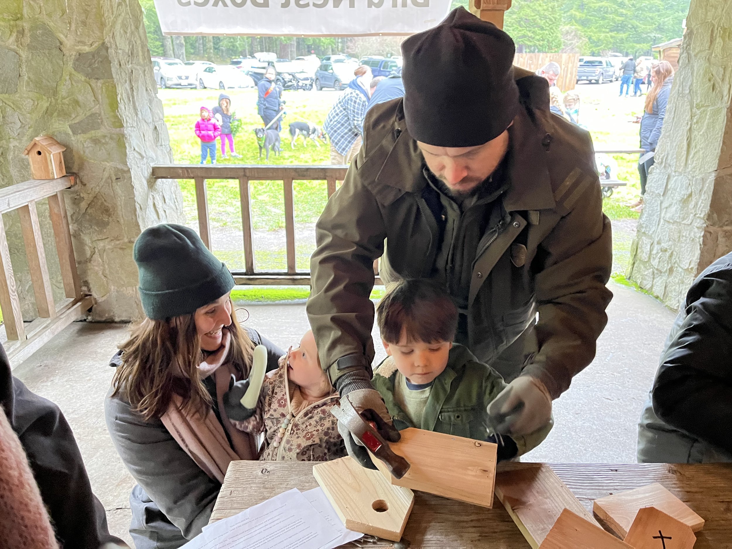 Bird Boxes