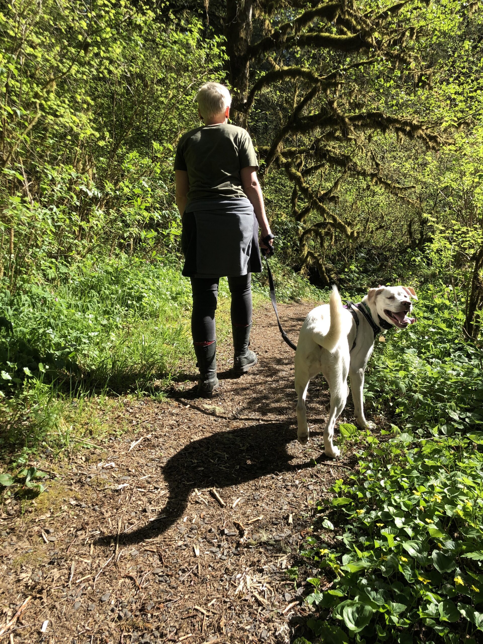 Nature Trail