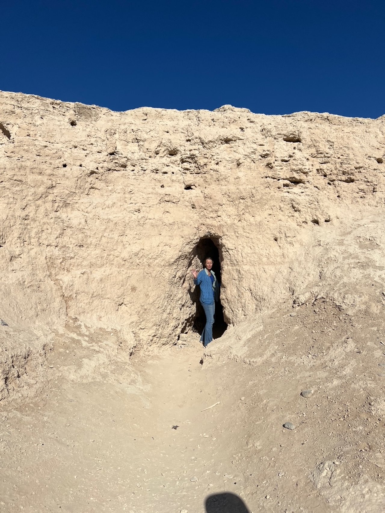 Exploring the Fossil Beds