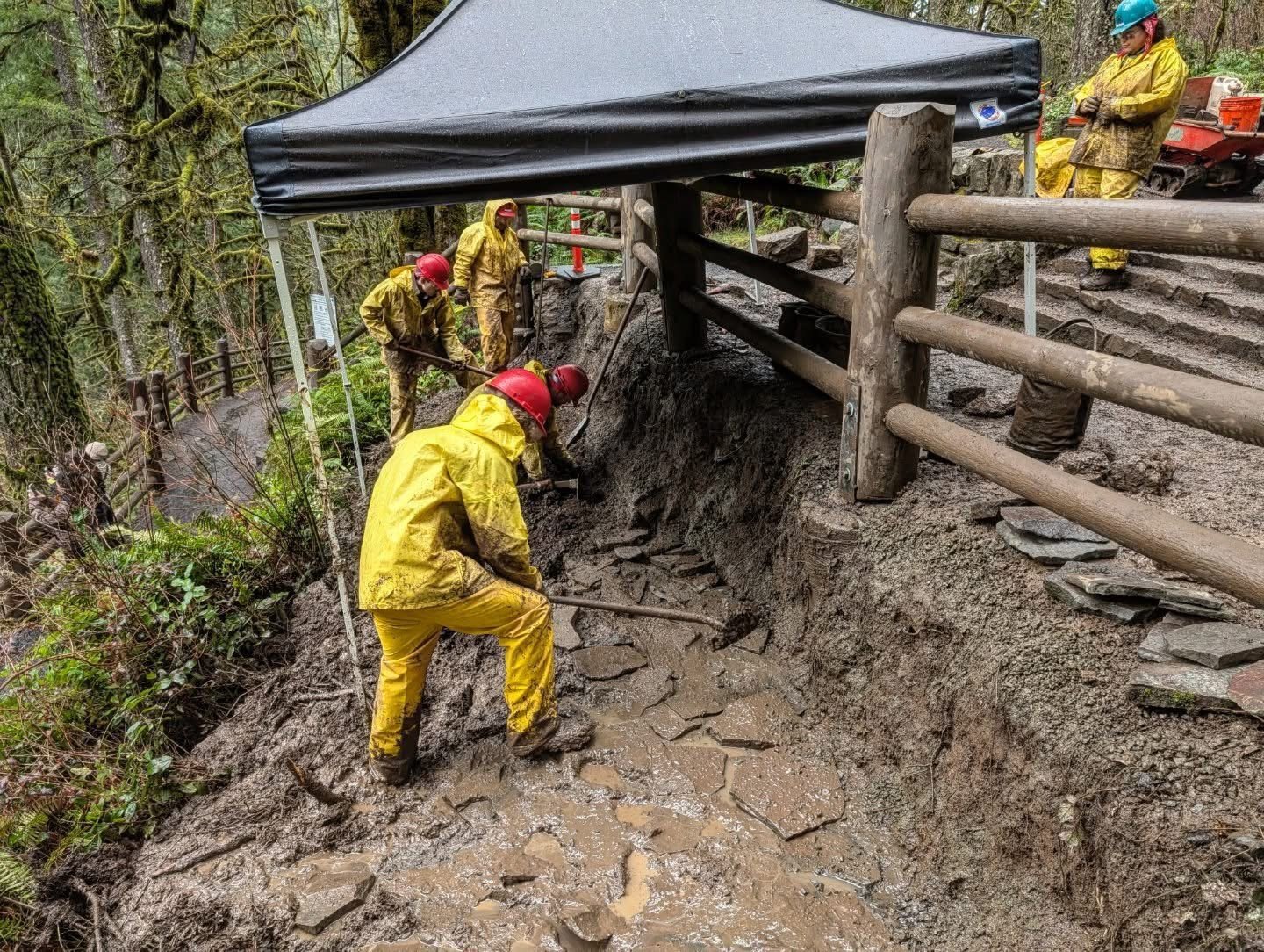 Northwest Youth Corps