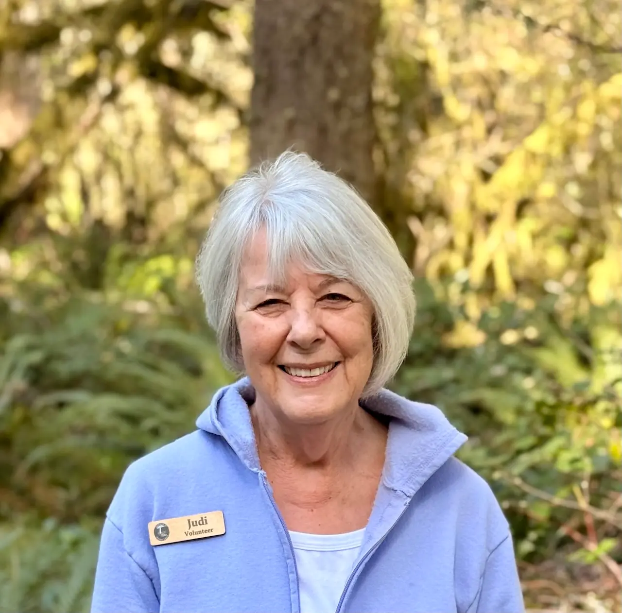 Judi DeSantis