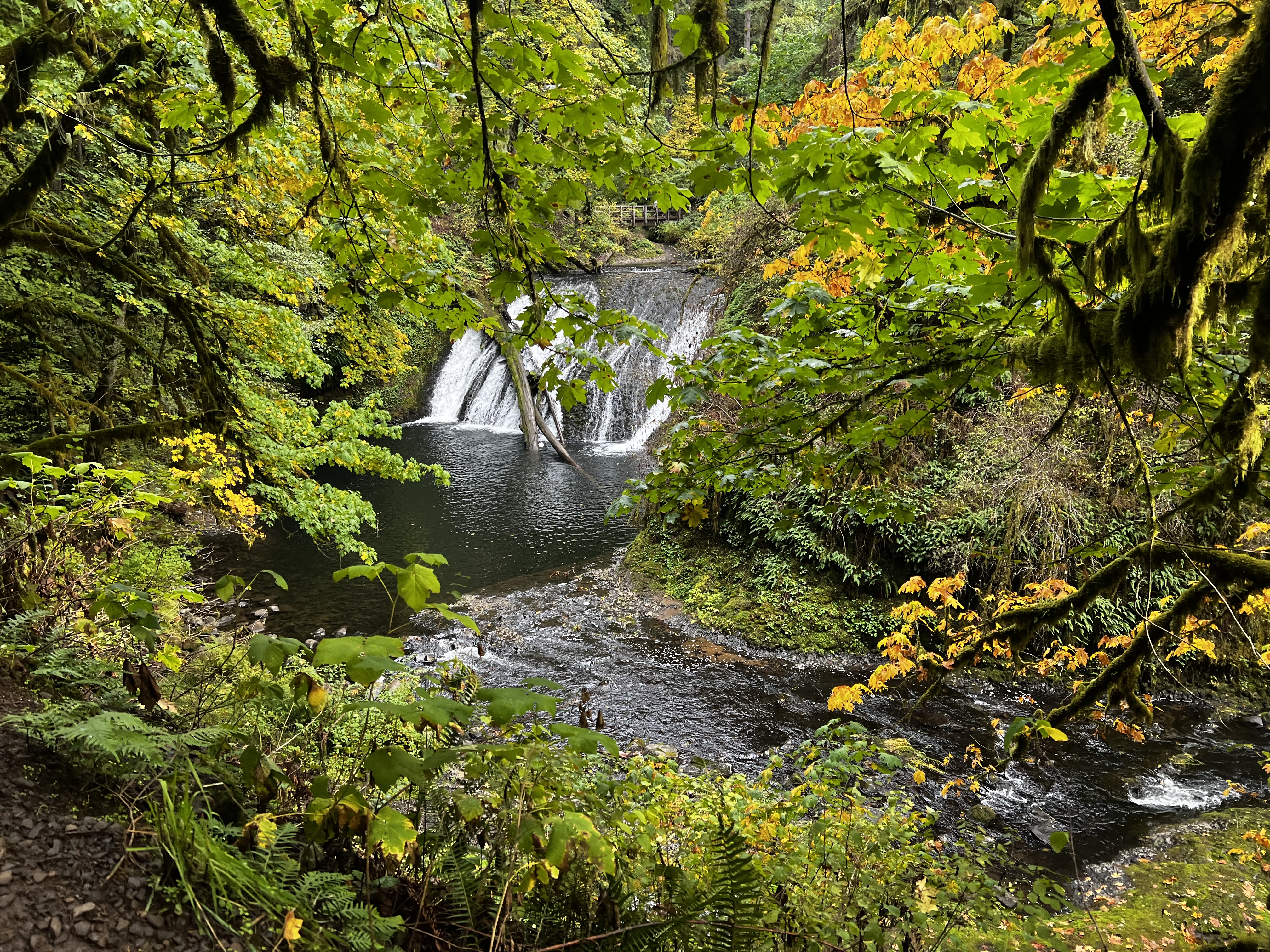 Lower North Falls