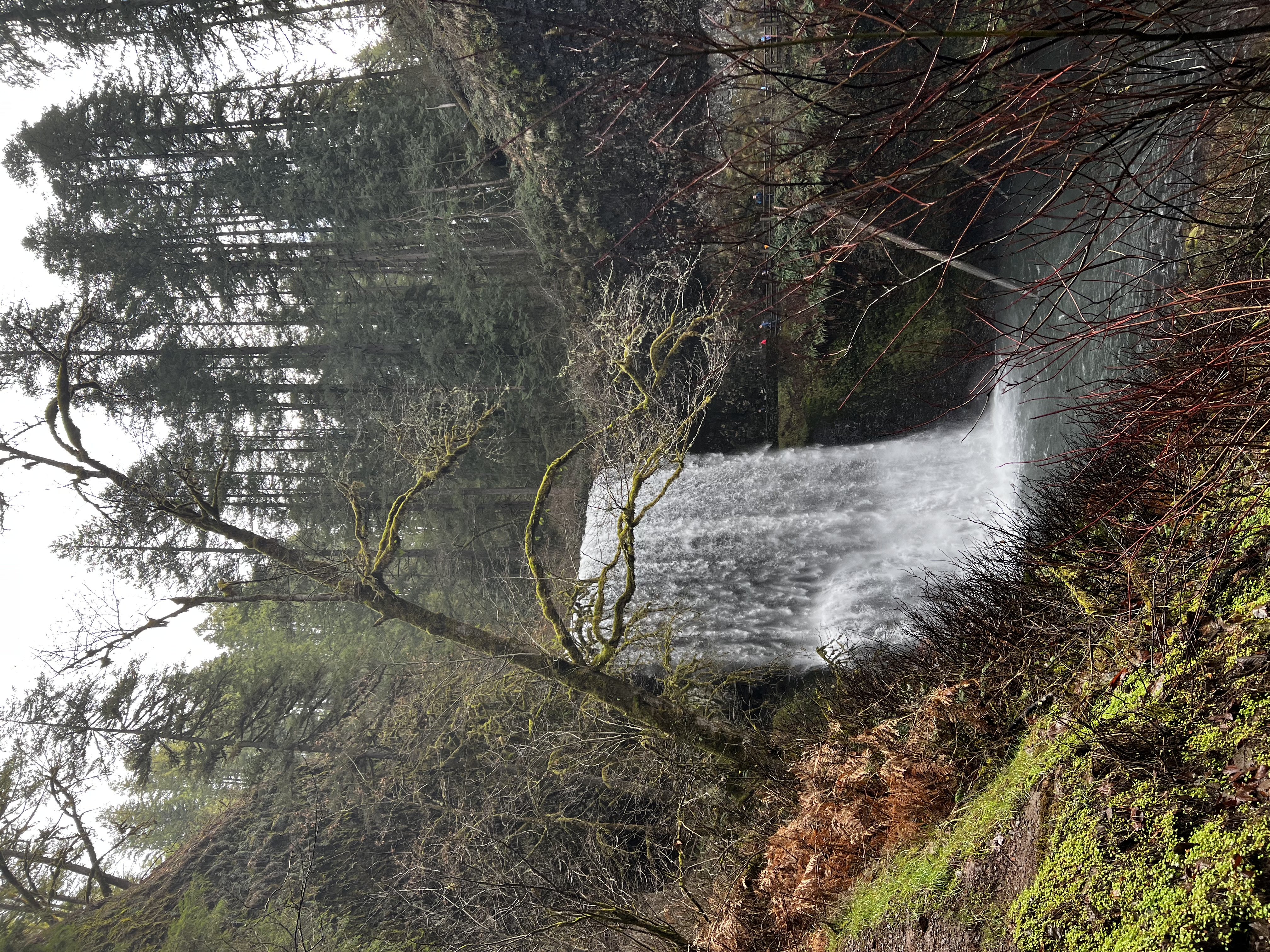 Lower South Falls
