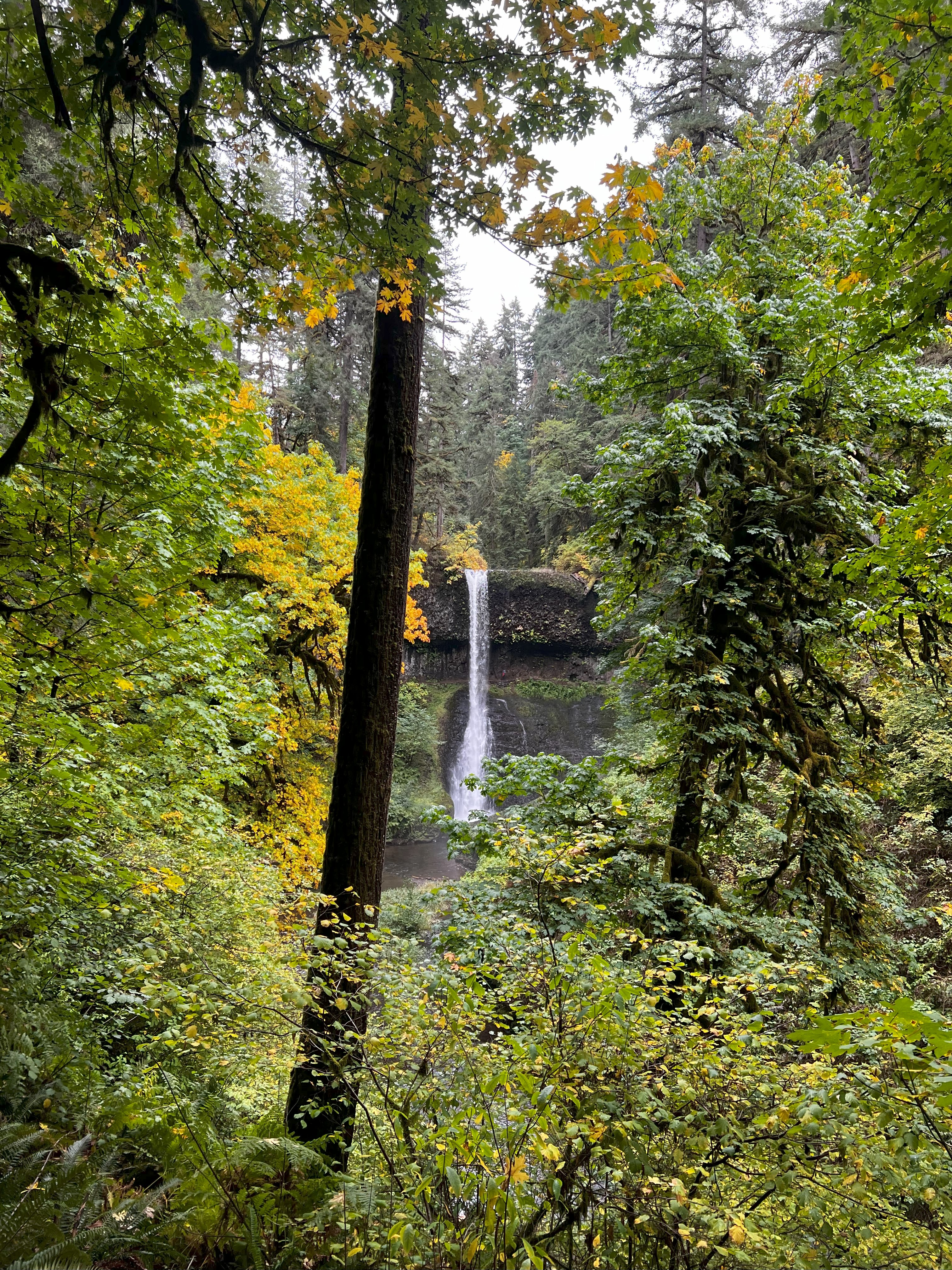 Middle North Falls