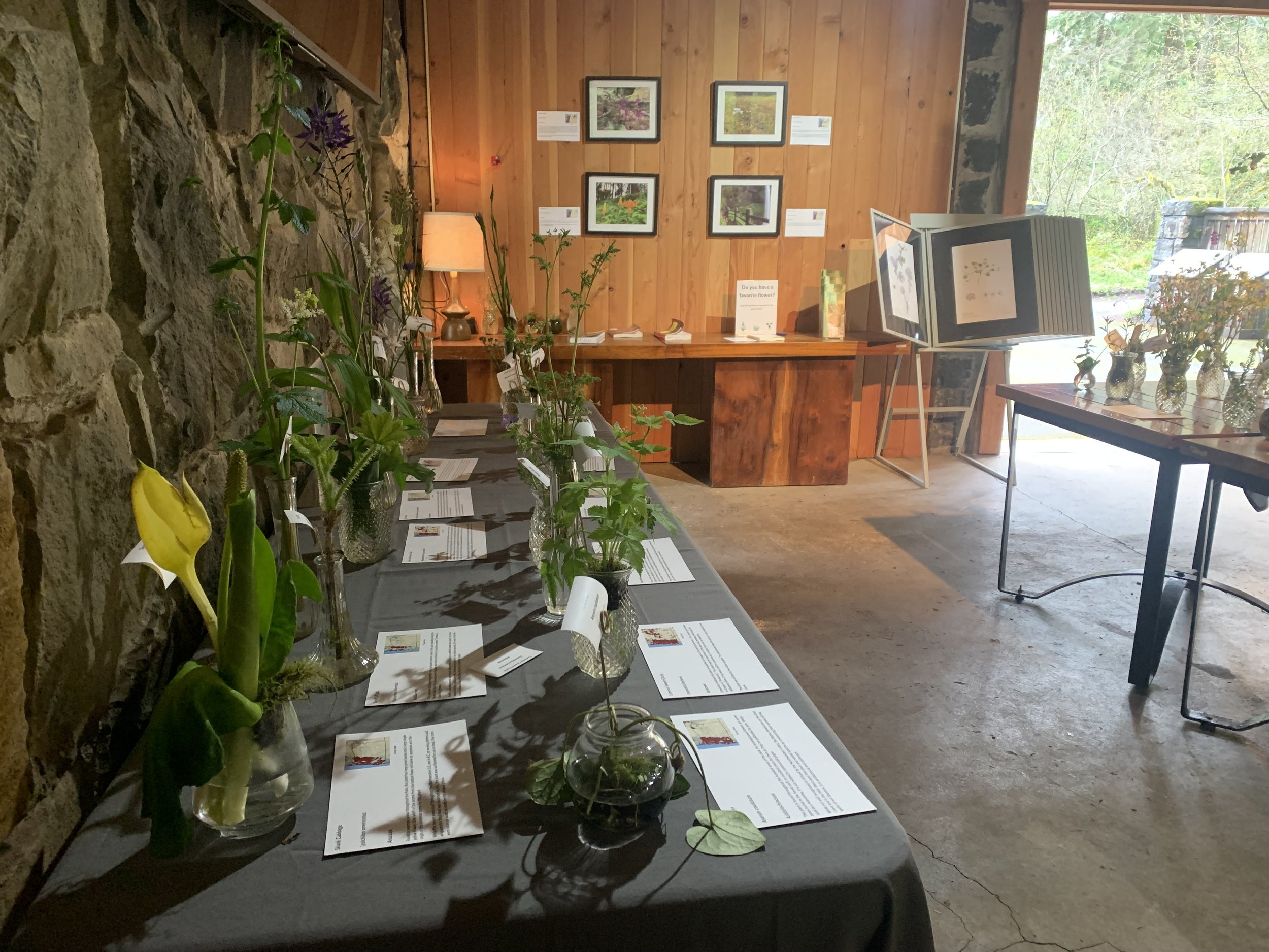 Native Plant Display 2.jpg