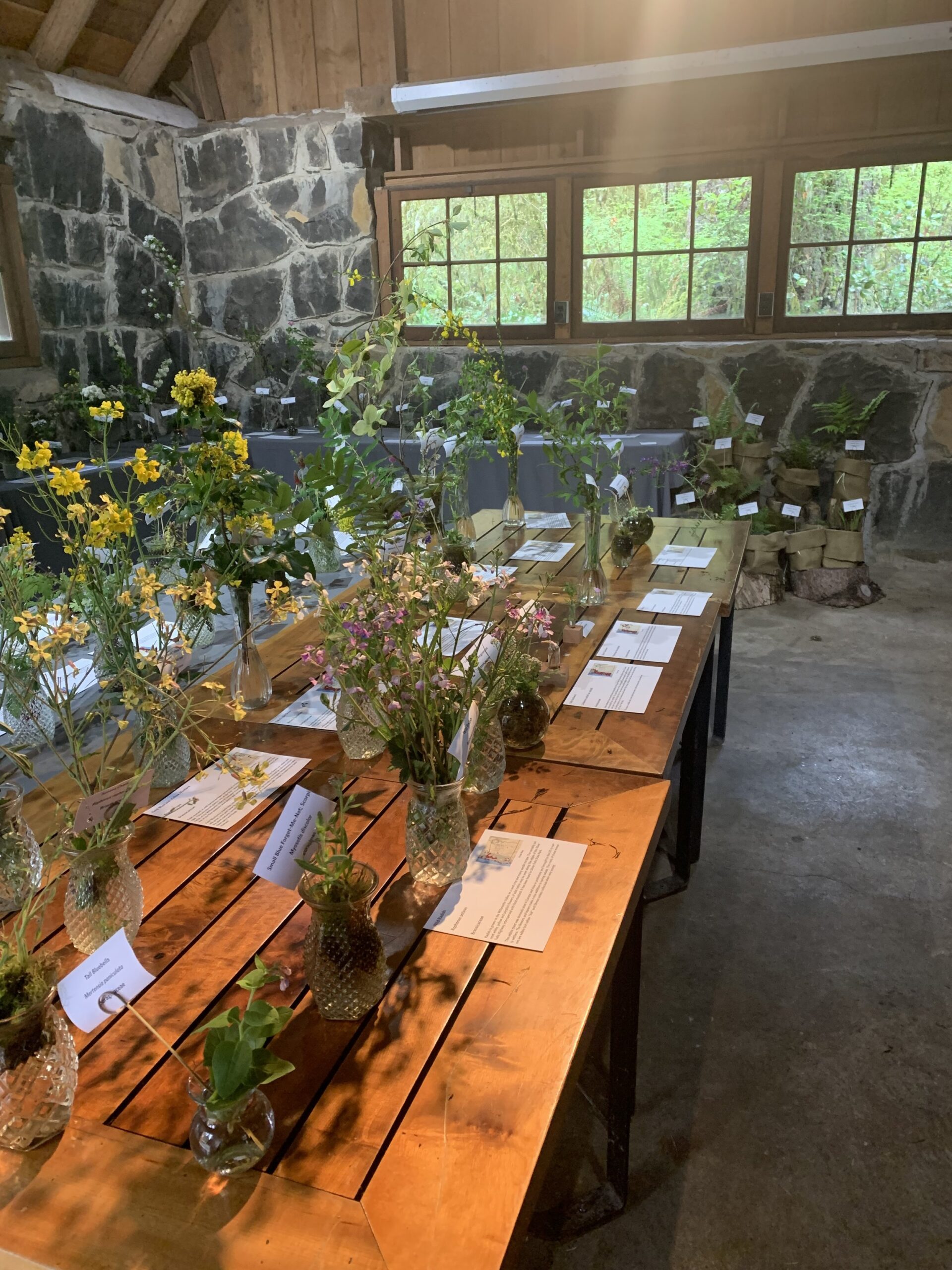 Native Plant Display.jpg