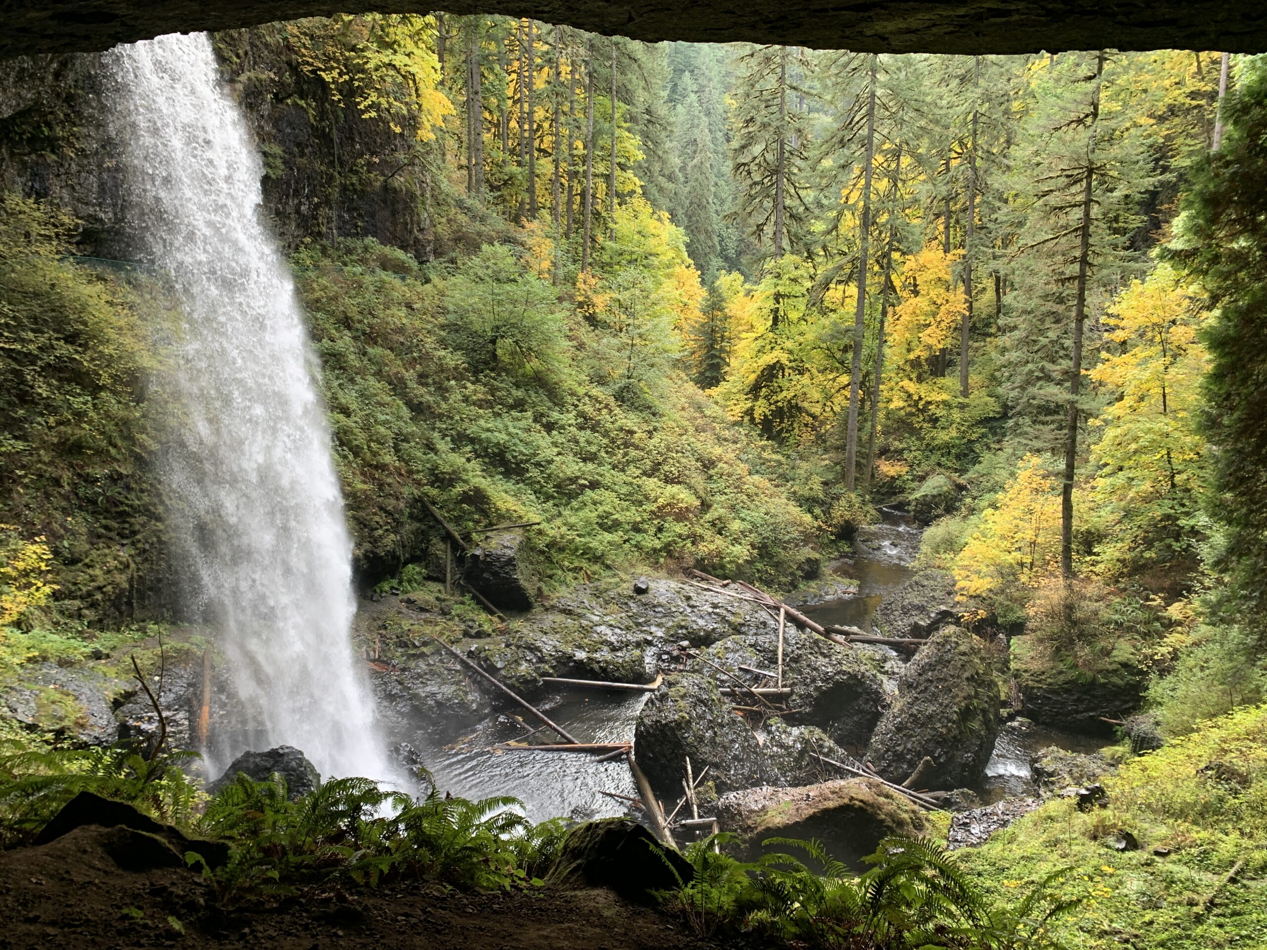 Two volunteers appear to be planting or restoring native vegetation on the grounds outside the South Falls Café at Silver Falls State Park