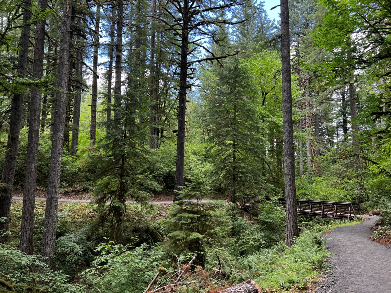 North Rim Trail