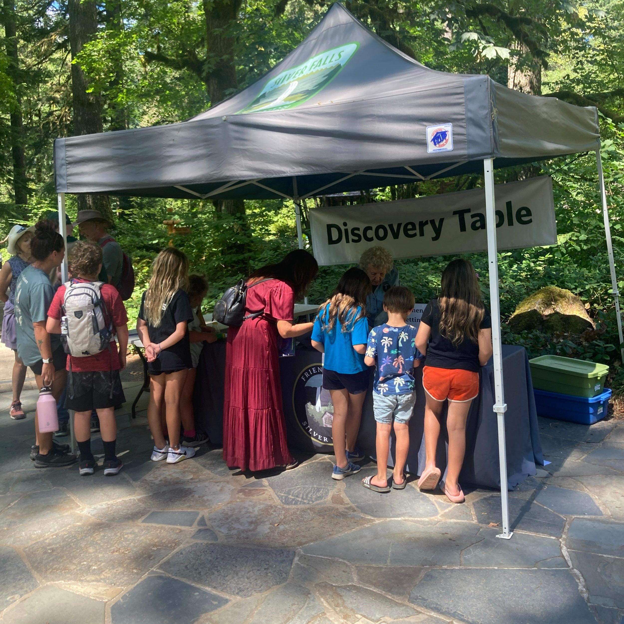 Patti Discovery Table