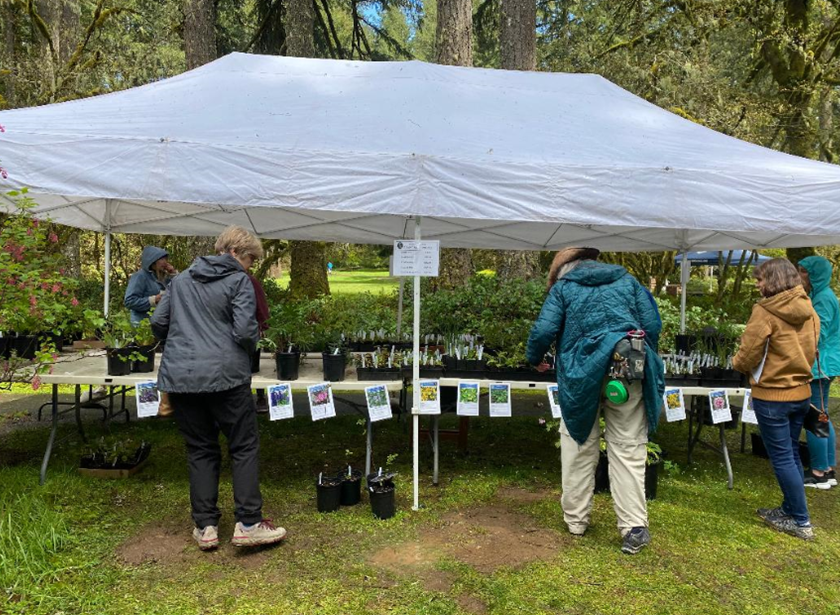 Plant Sale 2022_2.png