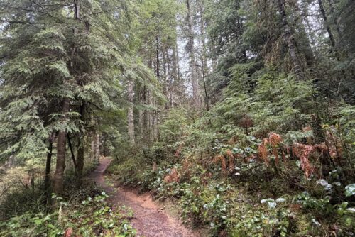 Rackett Ridge