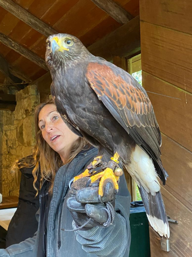 Raptor Presentation 2022_2.png