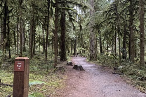 Rim Trail Rim Trail