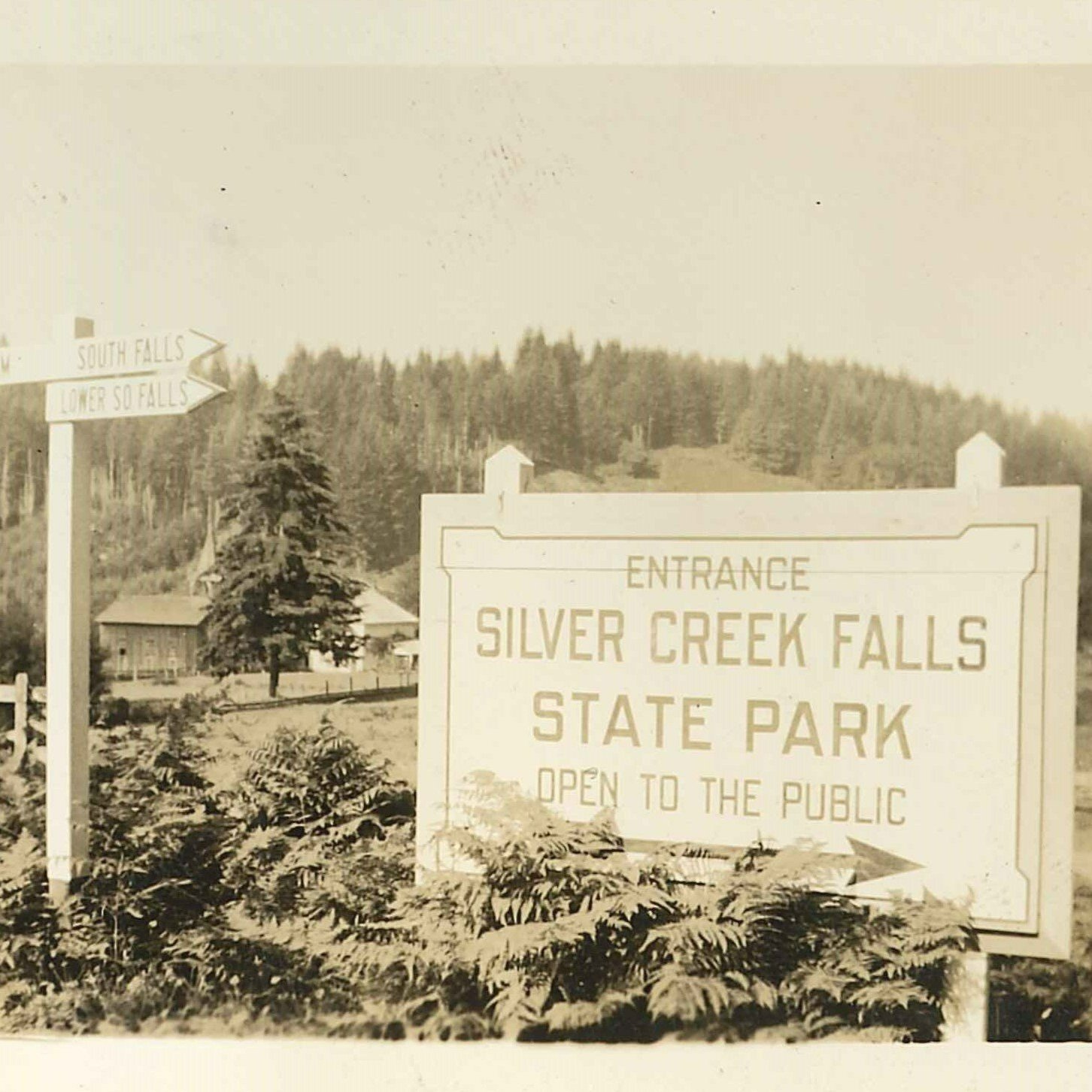 Fridays: South Falls History Walk Join an interpretive guide for this hour-long walk around Historic South Falls District to discover the whys and hows of why the park is what it i