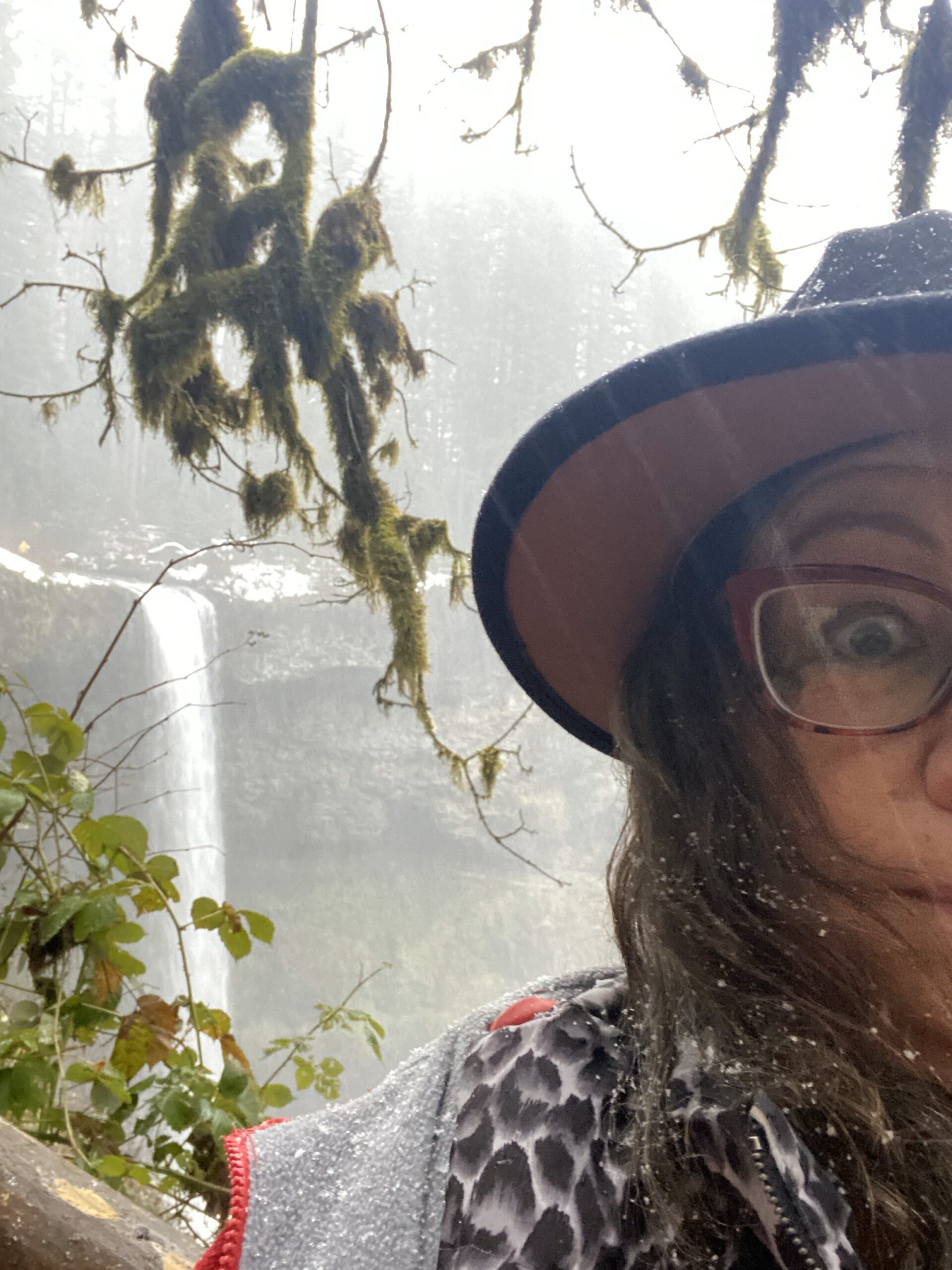Silver Falls Picture