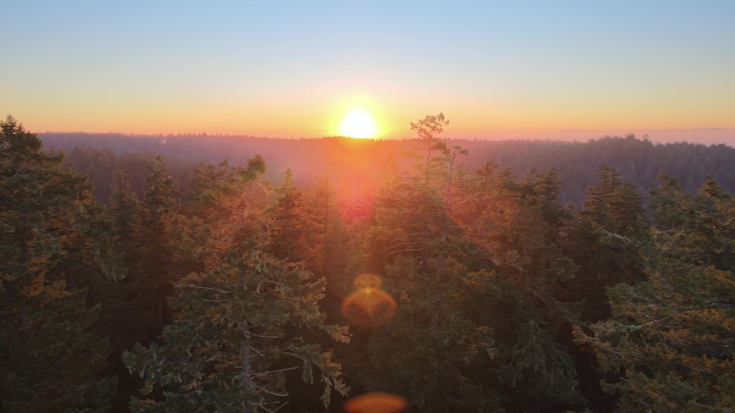 Silver Falls Sunset 2.jpg