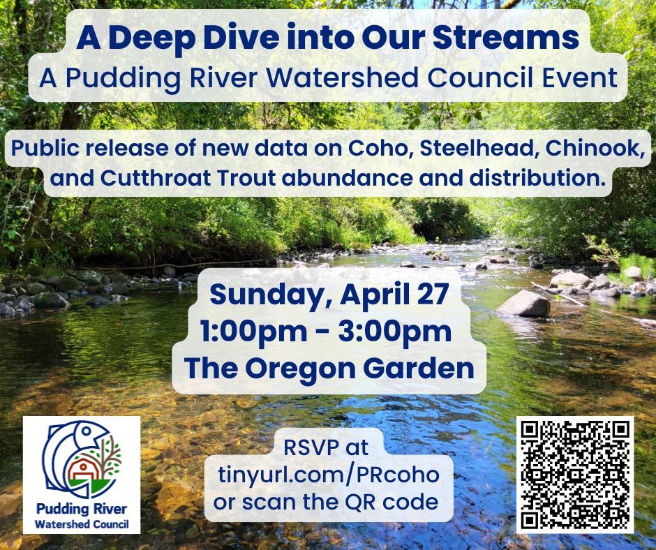 Social Media Flyer A Deep Dive Into Our Streams PRWC