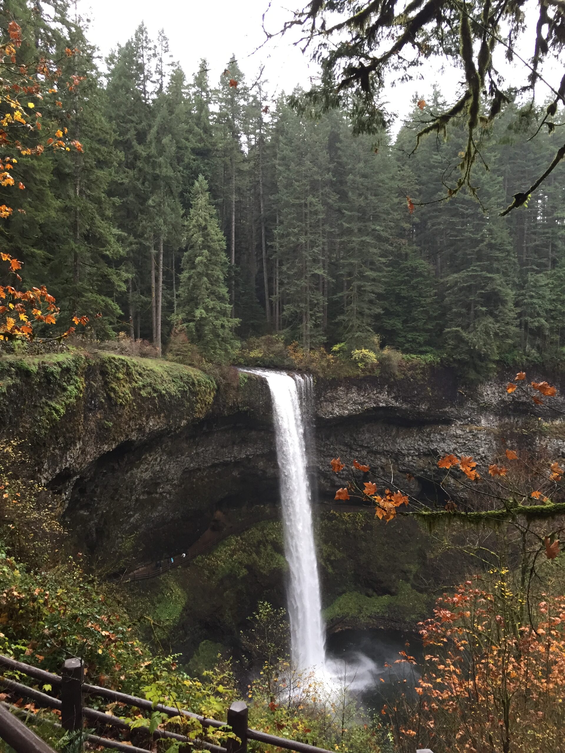 Two volunteers appear to be planting or restoring native vegetation on the grounds outside the South Falls Café at Silver Falls State Park