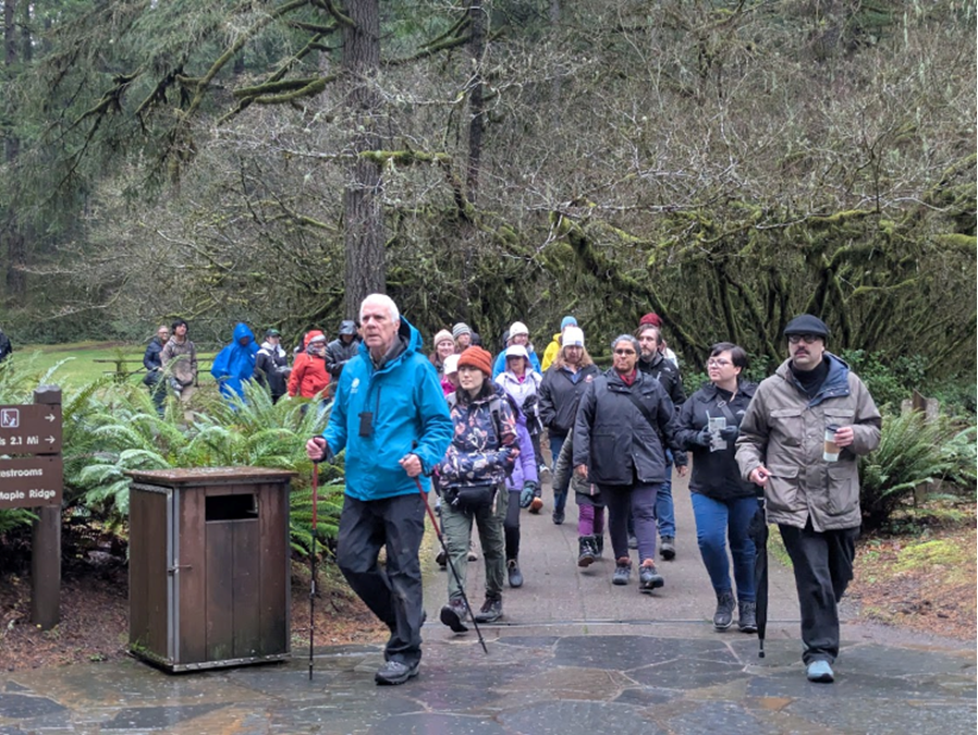 Tree walk.png
