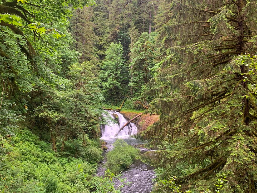 Twin Falls Trail Loop to North