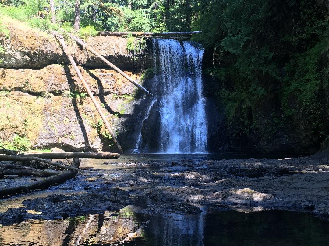 Two volunteers appear to be planting or restoring native vegetation on the grounds outside the South Falls Café at Silver Falls State Park