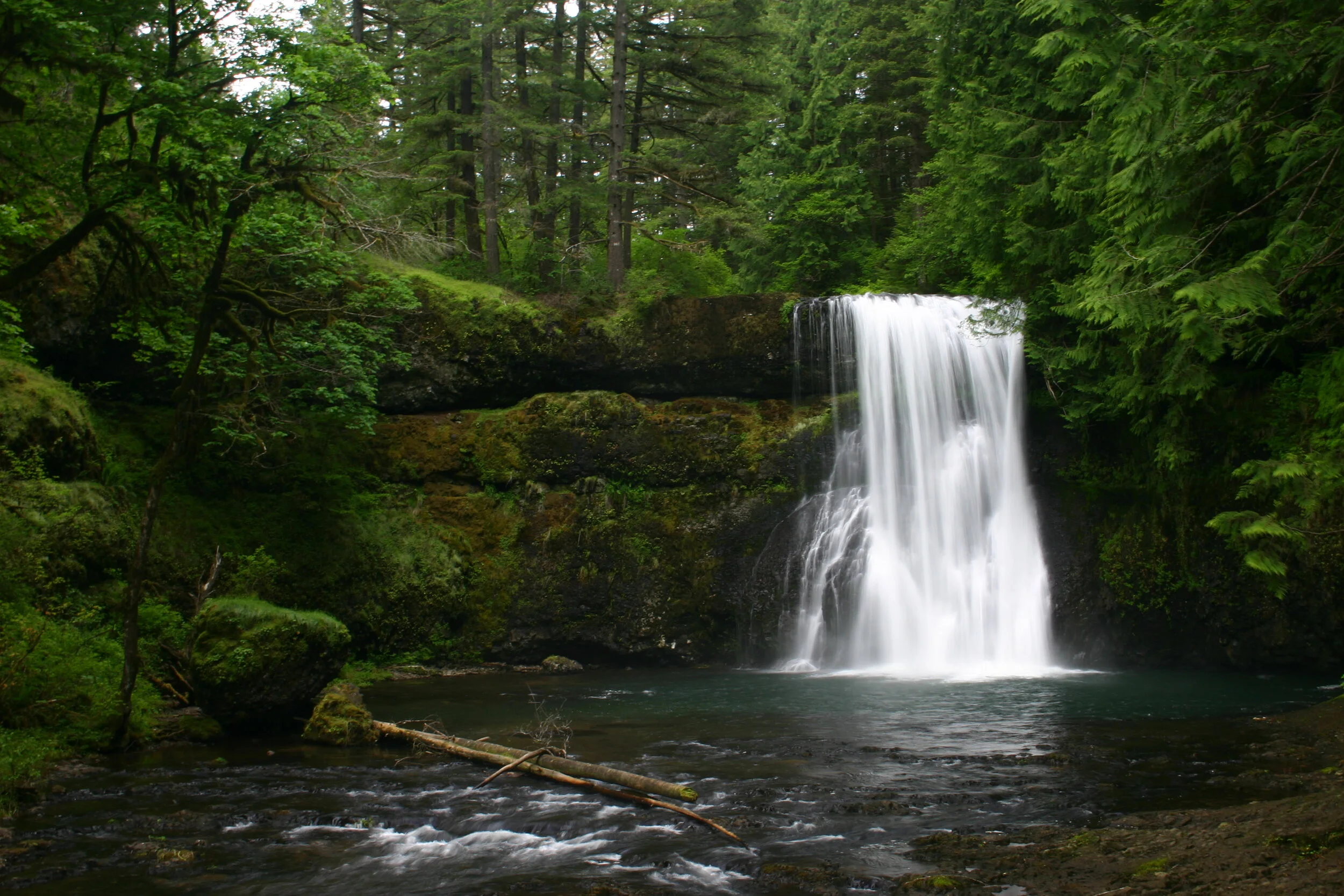 Upper North Falls waterfall surrounded by lush forest