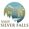 VSS-logo-transparent.png