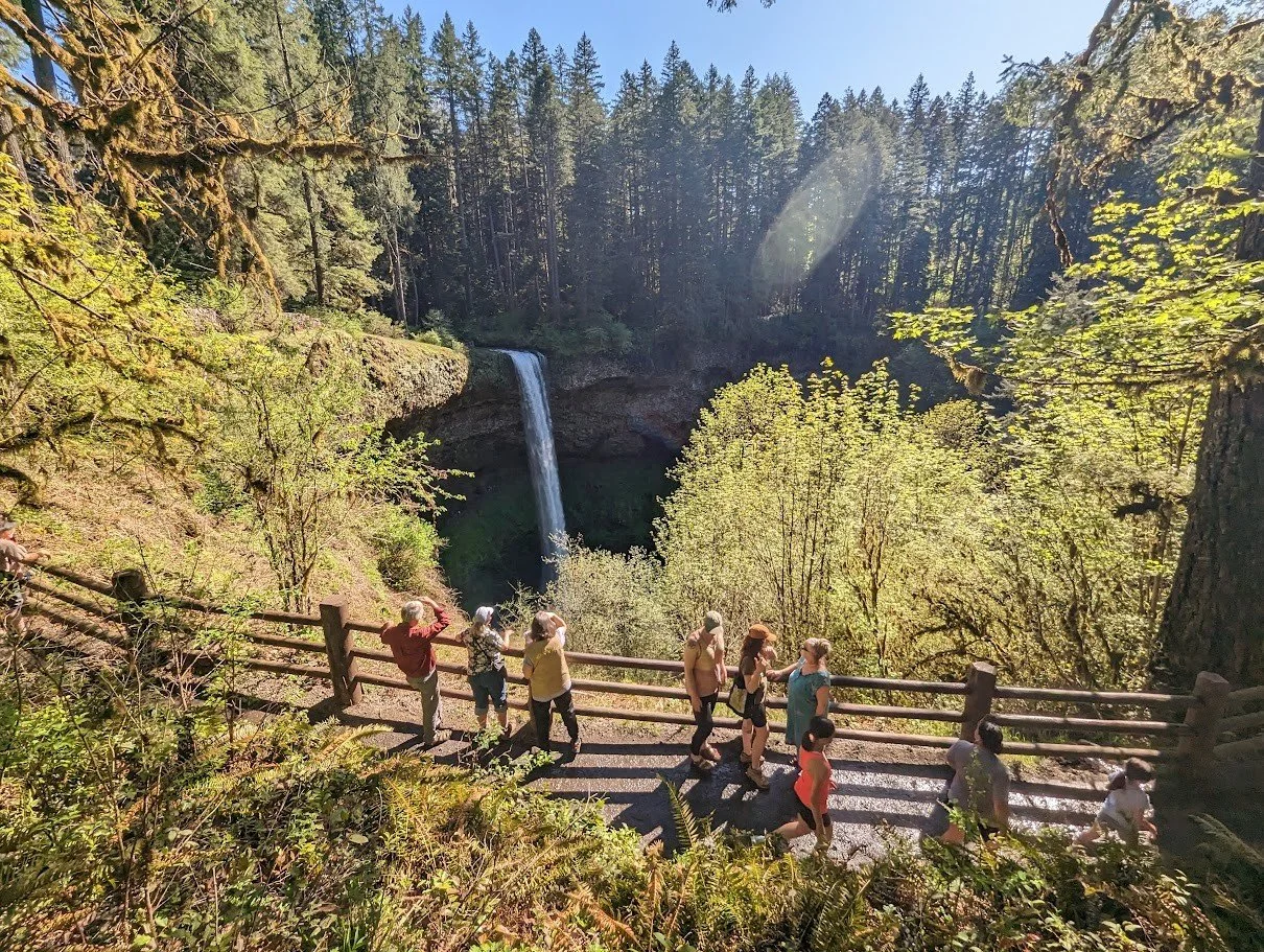 Visitors viewing South Falls waterfall overlook along scenic trail