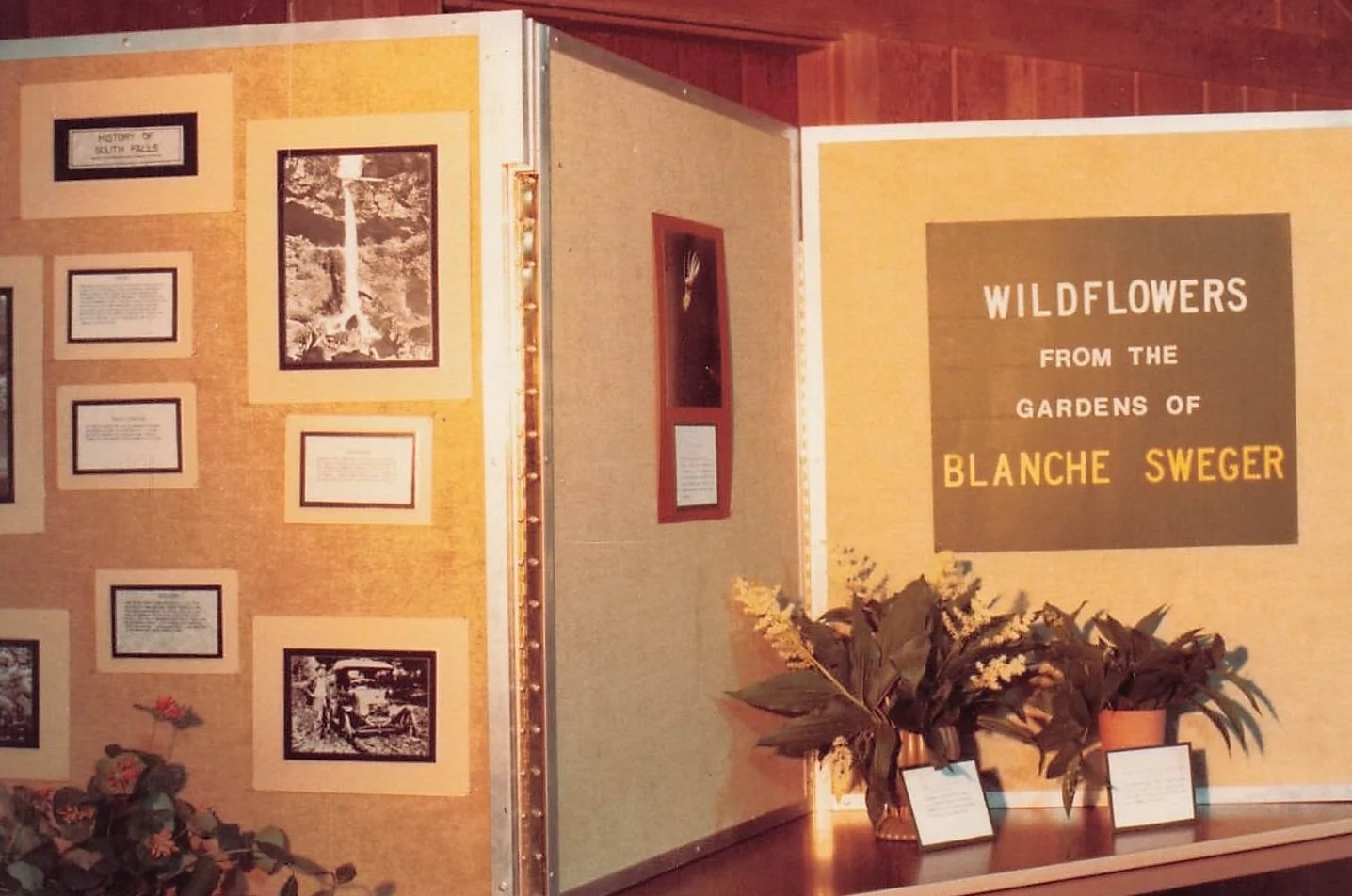 Wildflower show Blanche Sweger Page 1