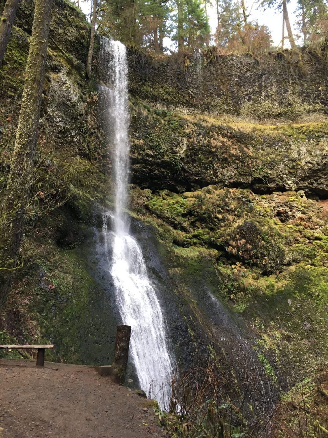 Winter Falls Winter Falls