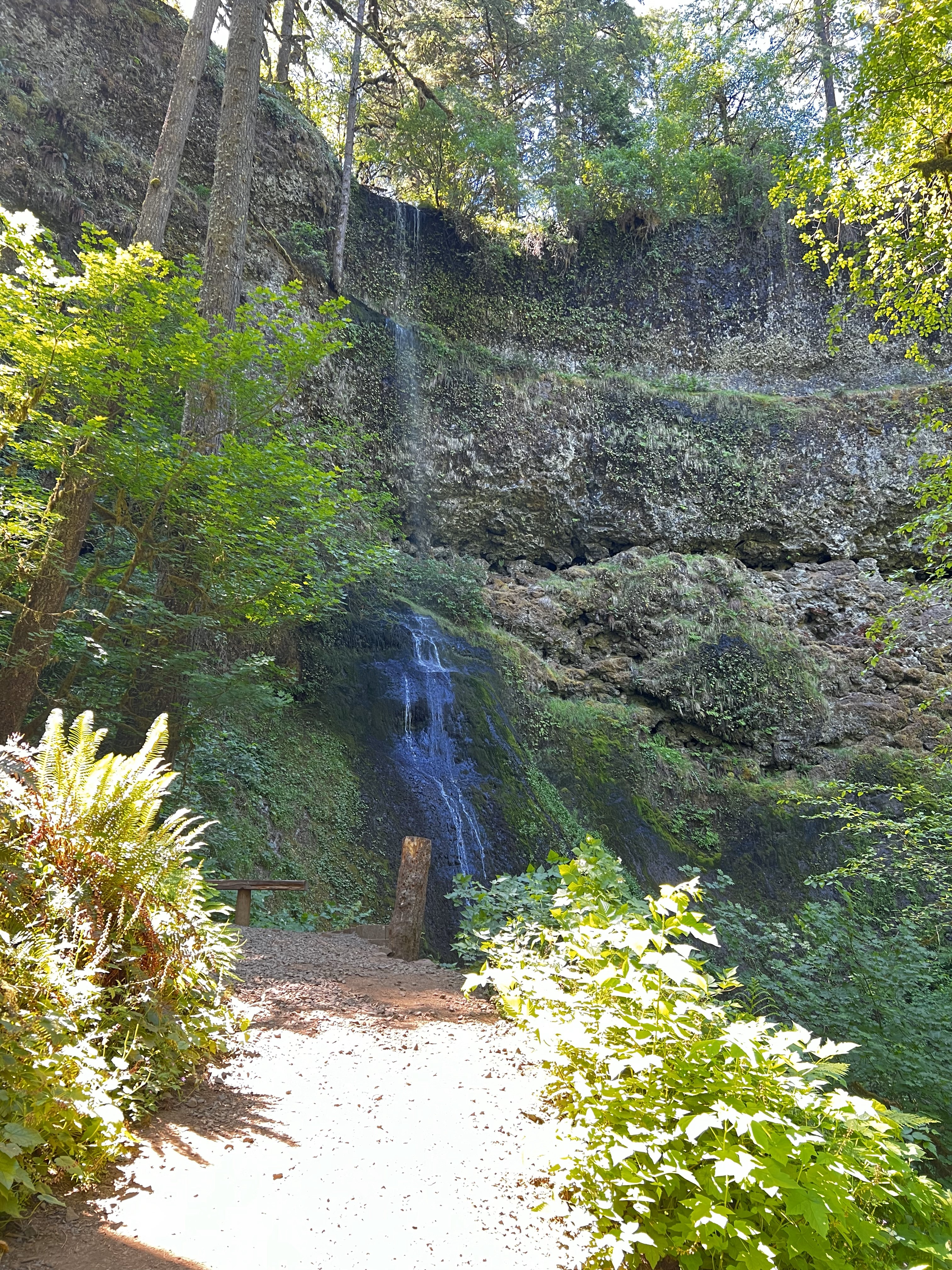 Winter Falls
